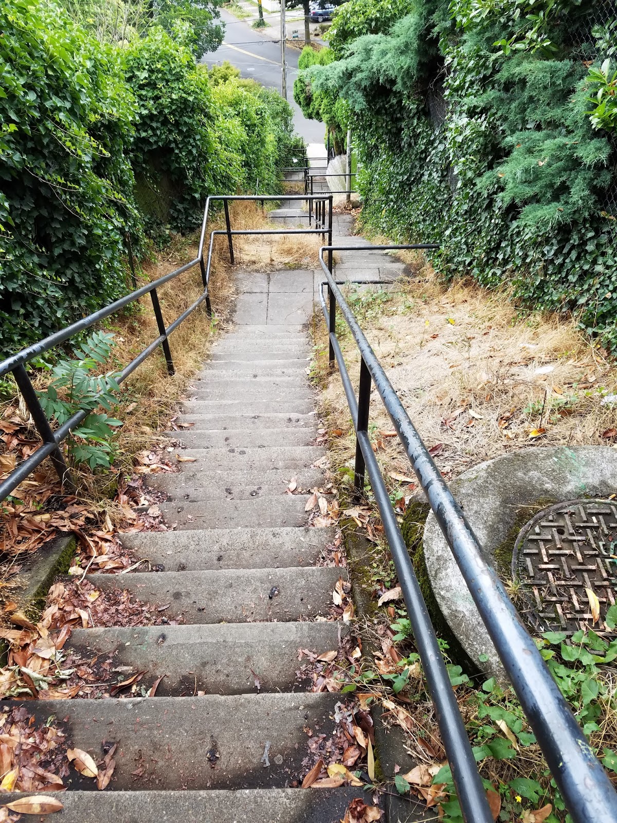 Dave Goes Outside: Portland Stairs Quest 5: Alameda Ridge