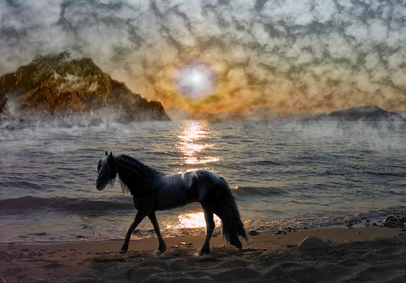 Черный конь песня. Лошади скачут по берегу моря. Лошадь скачущая фотограф портфолио. На просторе кони скачут. Лошадь скачет вдаль под луной.