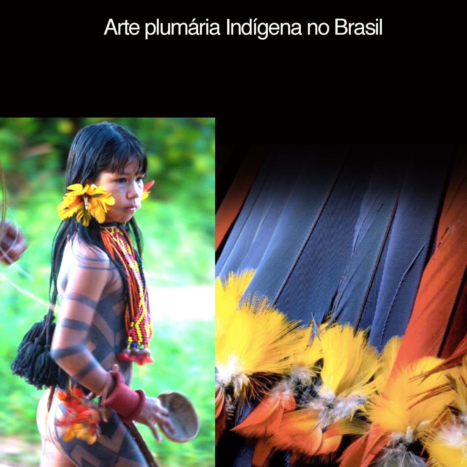 Figura3-Piões indígenas brasileiros, pião de limão, pião de biorra