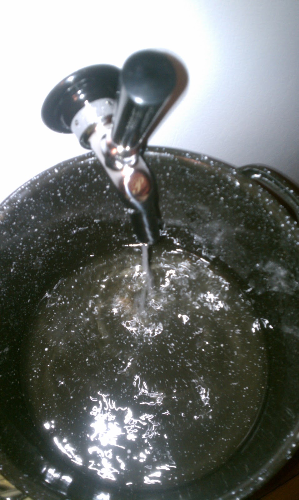 The Homebrew Believer How to build your own beer line cleaning system