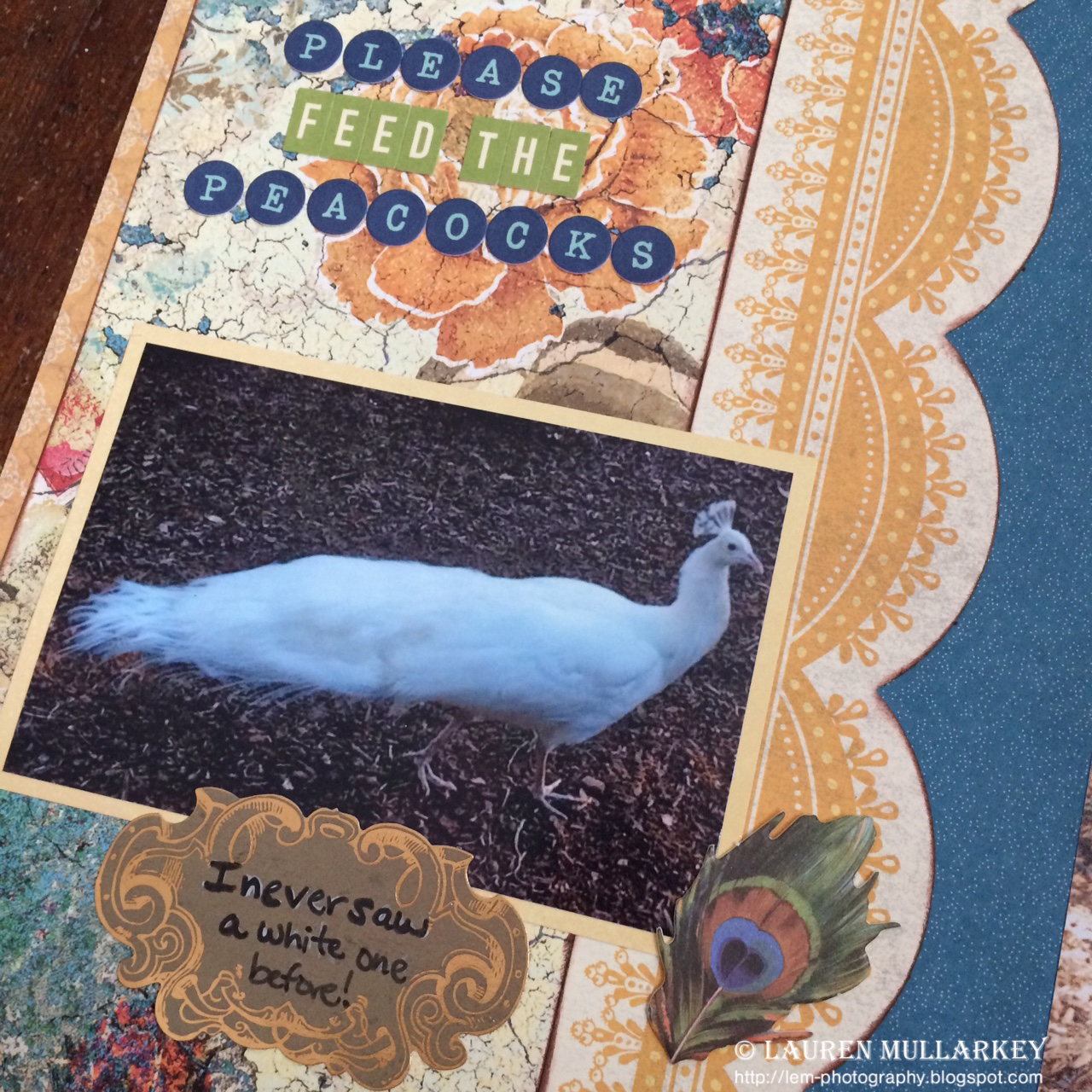 LEM Photography and Papercrafting LM 357 All About Animals At the Zoo