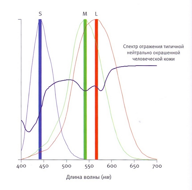 формирование изображения на экране рлс. отражение электромагнитного излучения. спектр отражения металлов. спектр пропускания оргстекла. ик спектры отражения.