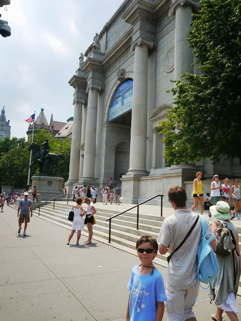American Museum of Natural History  New York
