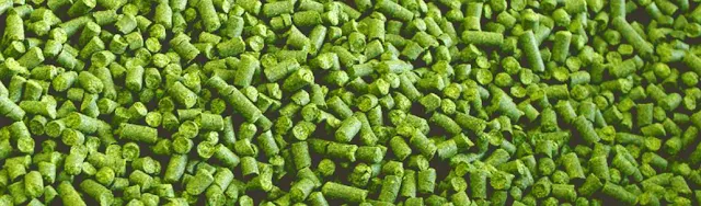 what is dry hopping in beer making?