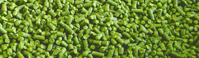 Endeavour Hops Pellets 100g of The Freshest UK Hop Use at Boil Or Dry Hopping for A Perfect Flavouring to Your Finished Beer 2019 Crop Craft Ale Ingredients for Beer Brewing