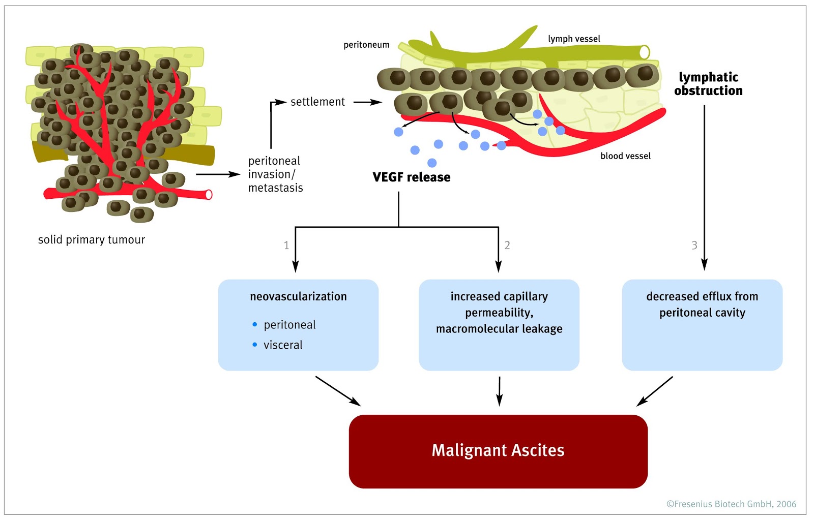 Malignant Malignant Cells Definition