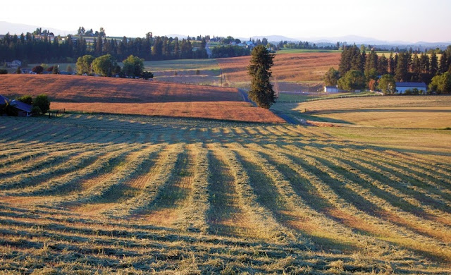 Somediffrent is the name of Diffrent: Beautiful Picture of Plains