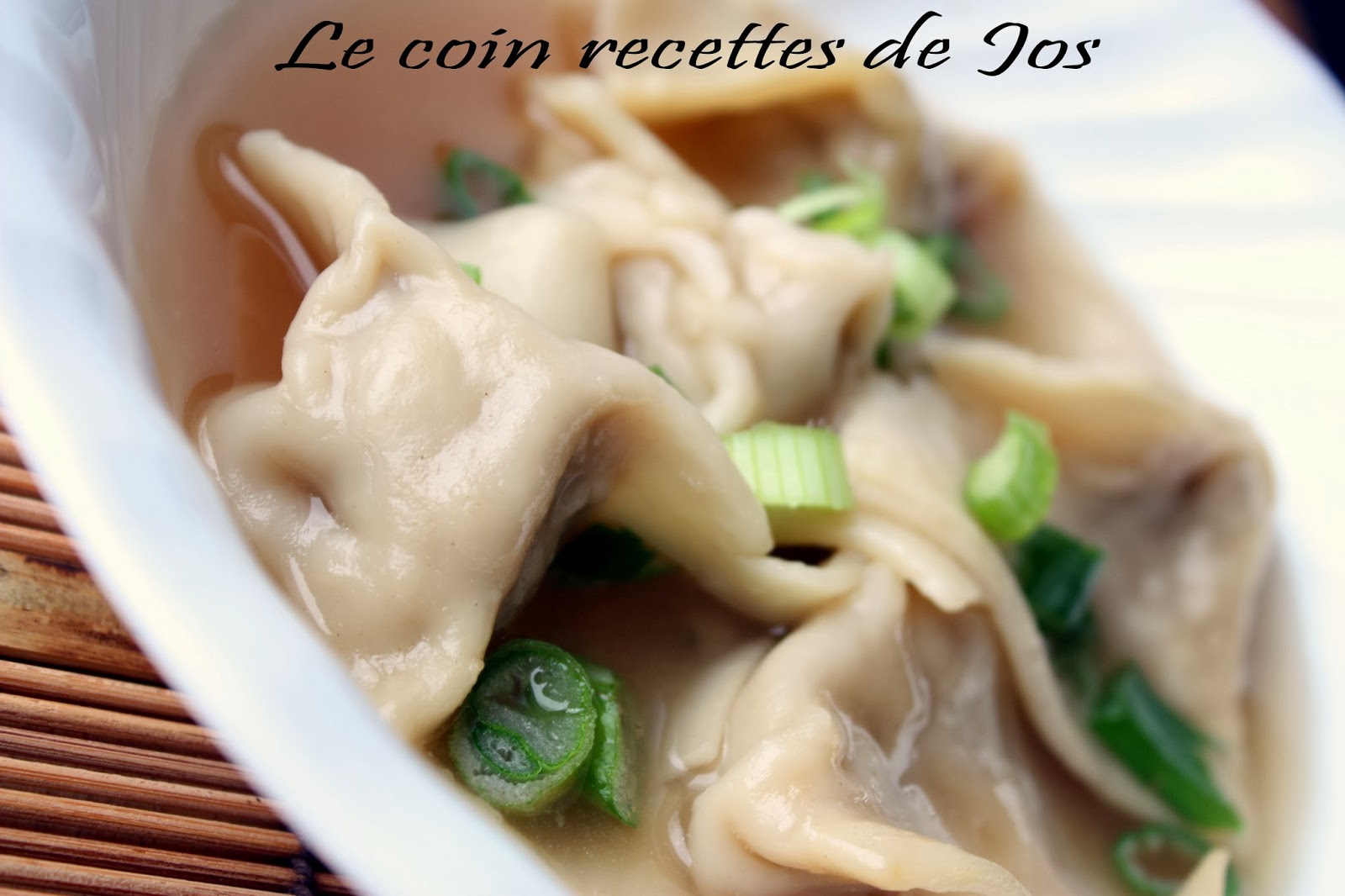 Le coin recettes de Jos SOUPE WON TON AU POULET