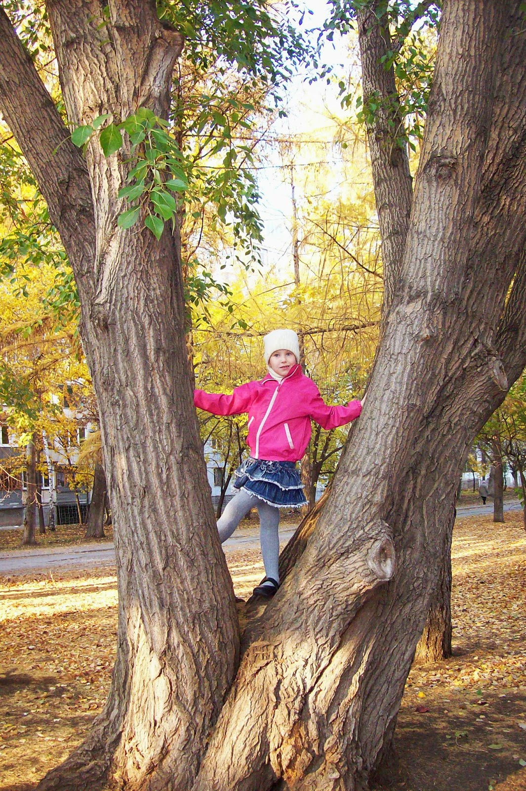 залезать на дерево - увлекательнейшее занятие!