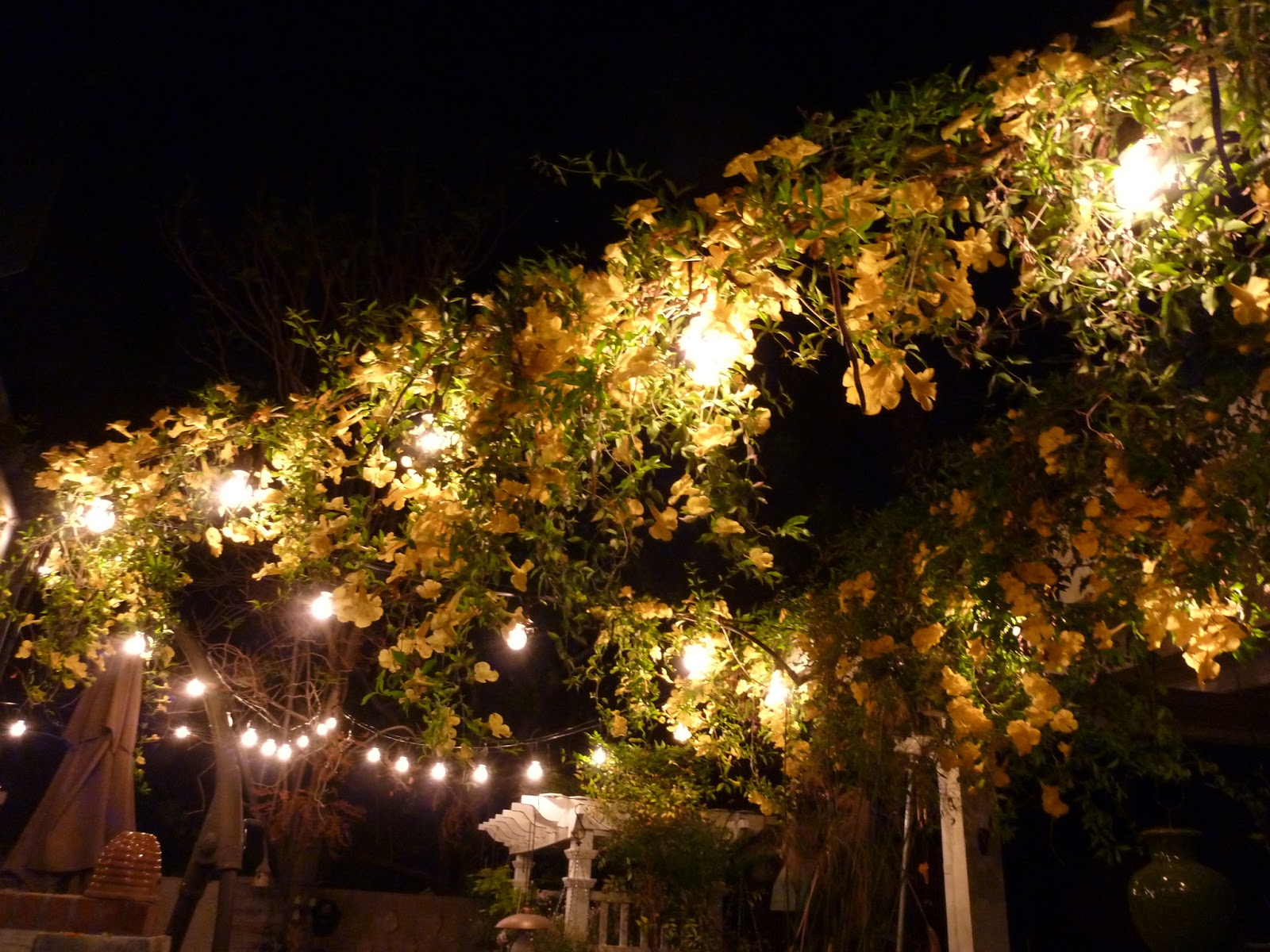 A Place to Share Yellow fairy lights