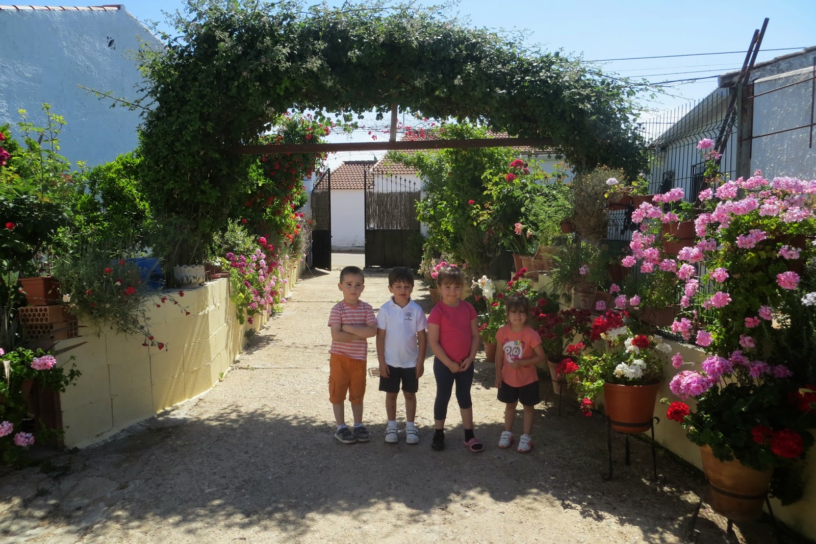 CPR.BEMBEZAR: LOS PATIOS DE CÉSPEDES EN LA PRIMAVERA DEL AÑO 2014