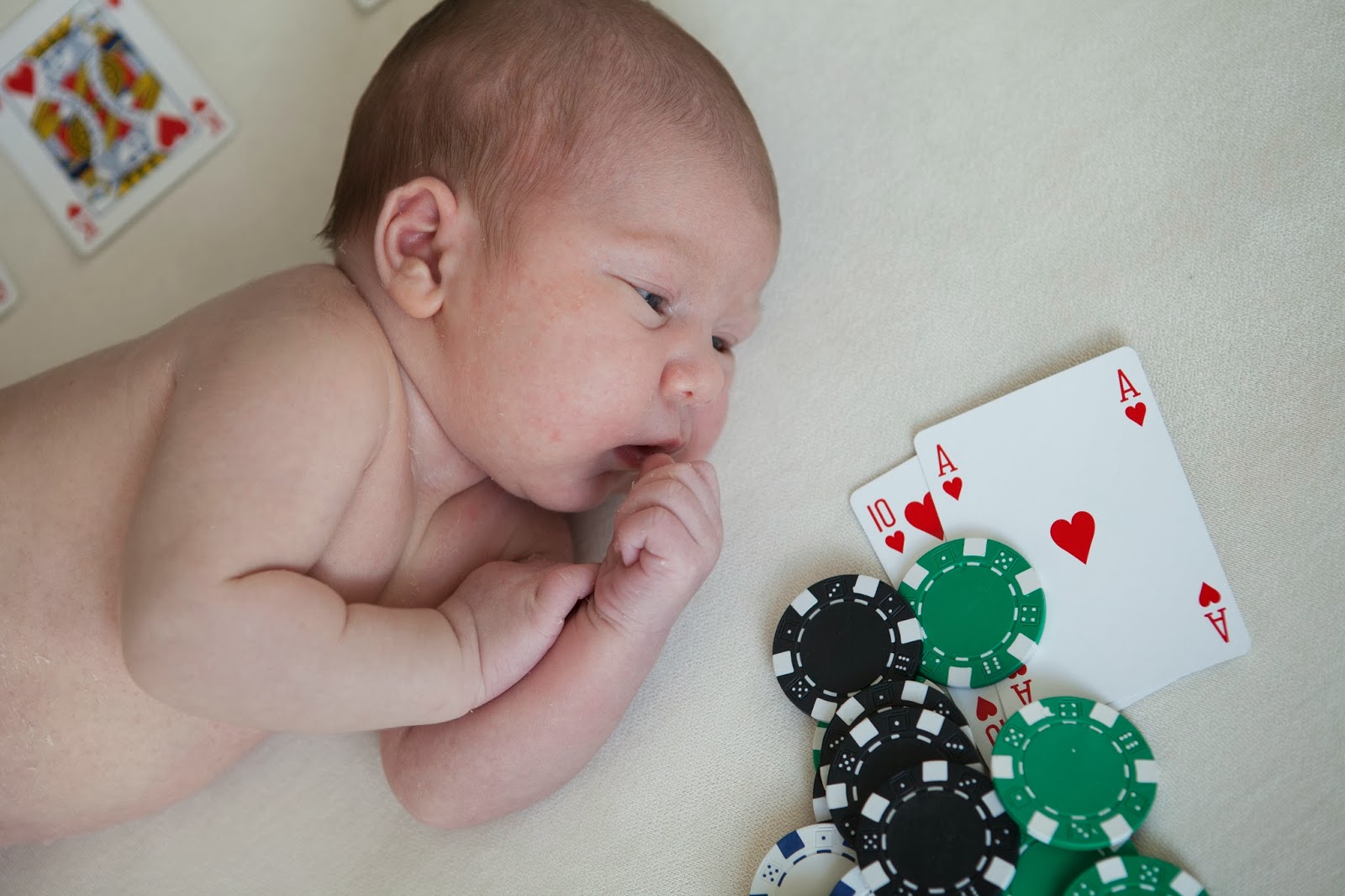 2 Köpek &amp; 1 Bebek Doğumdan Sonra Mini Detaylar