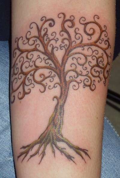 ... the tree of life celtic tree of life tattoo information and pictures