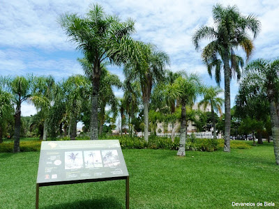 Jardim Botânico de Curitiba #MoradorTurista