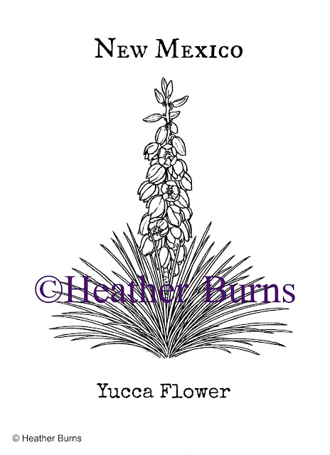 State Flower Coloring Book: New Mexico State Flower: Yucca
