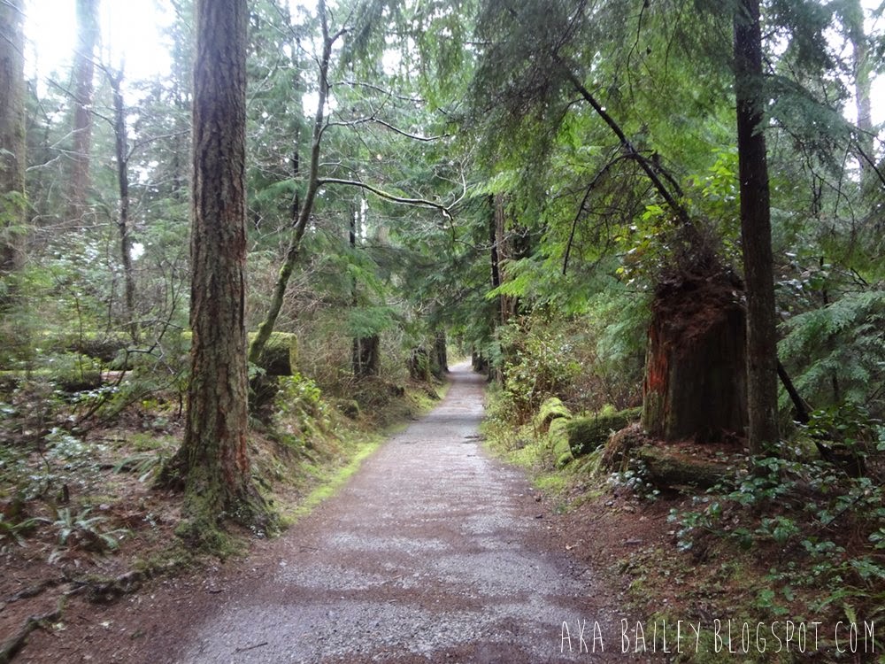 Green and tree-lined trails in Stanley Park in Vancouver