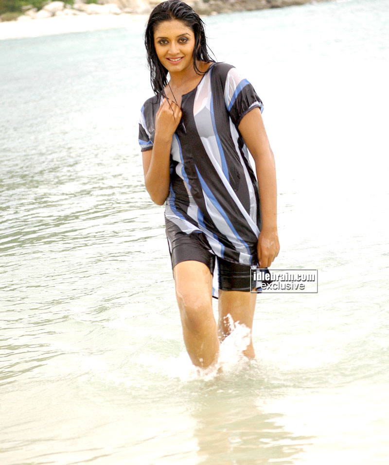 Free Wallpapers: Spicy Photos of Hot Vimala Raman in Sexy SwimSuit