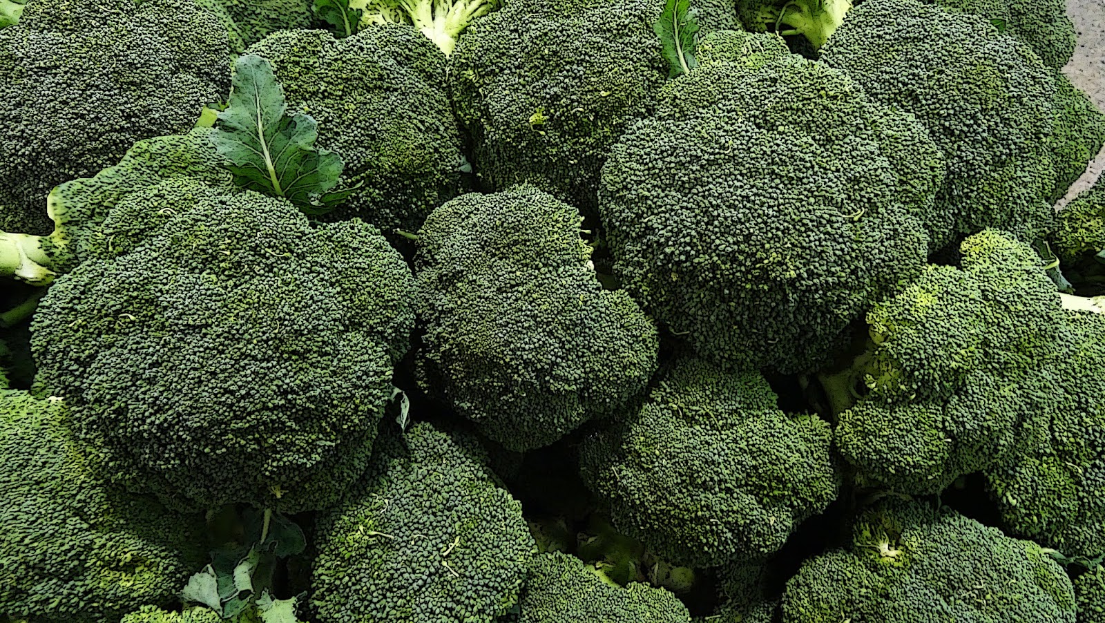 NixPixMix BEANS, BROCCOLI & BITTER MELON