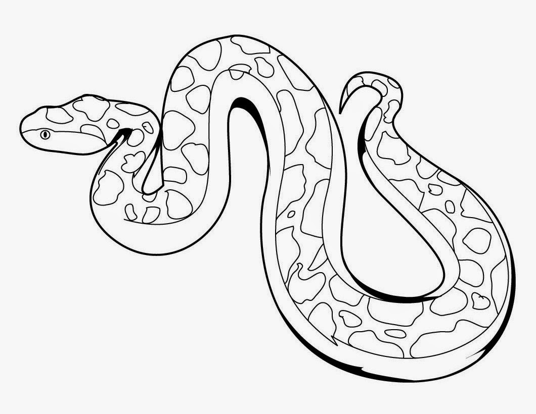 Snake Portrait For Kids Colour Drawing HD Wallpaper - colours drawing  wallpaper