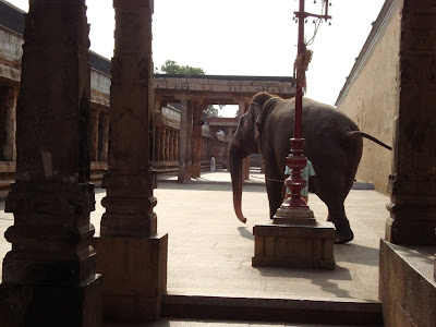 http://4.bp.blogspot.com/-SbW2DEadY8g/TyhAkMncwcI/AAAAAAAACik/IlWPVzHMcJU/s1600/Thiruvanaikaval+temple,+Thiruchipalli,+Tamil+Nadu1211.jpg