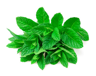 Infusiones De Menta Para La Digestión Infusiones De Menta Para La Digestión
