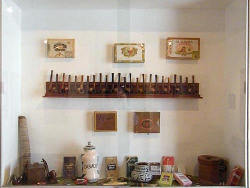 museo de plantas1