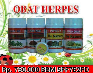 obat herbal herpes
