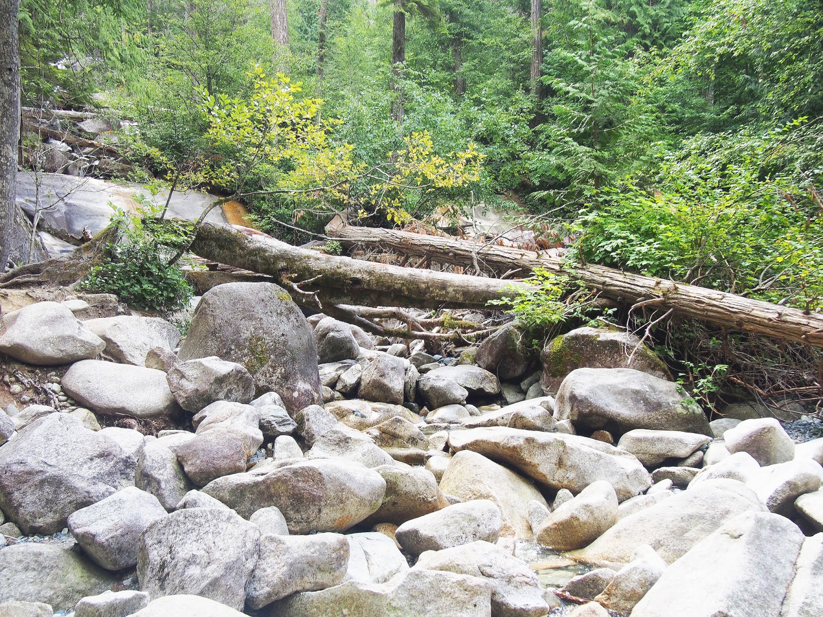 #TravelWithMe to Whistler & Shannon Falls