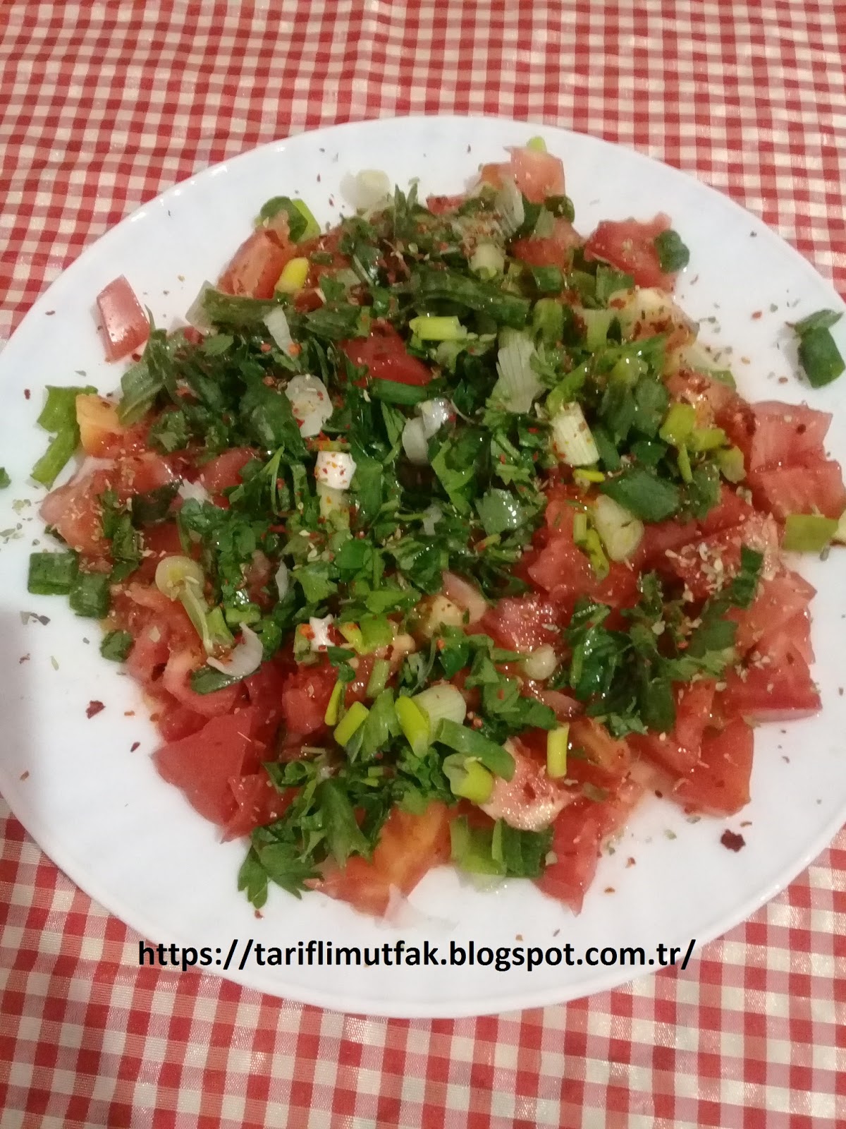 Turp Carpaccio Tarifi – Salata Tarifleri Turp Carpaccio Tarifi – Salata Tarifleri