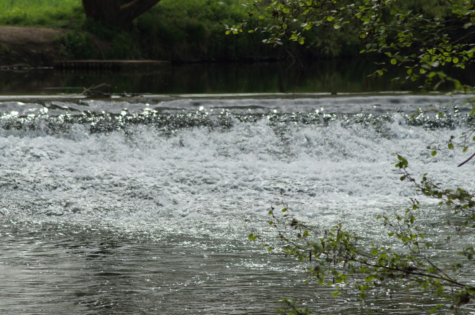 Natur und Leben Carl Gibsons Blog Das Leben am Fluss An der Tauber