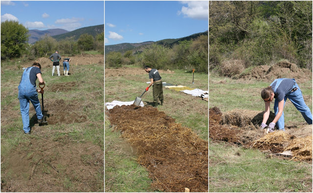 sheet%2Bmulching%2B.jpg