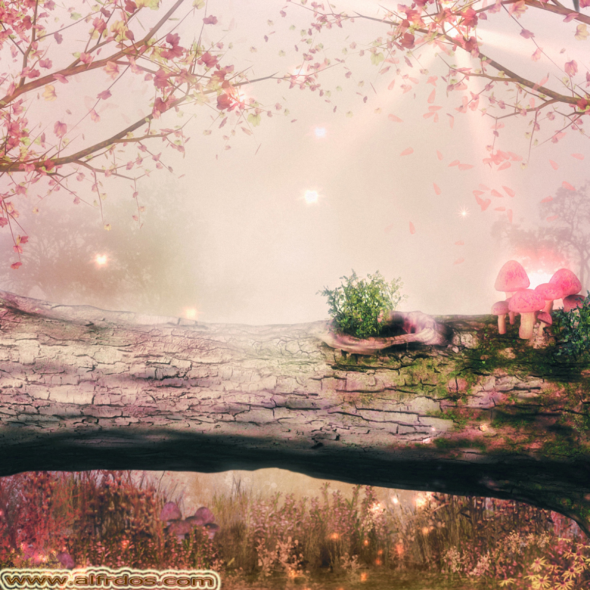 عالمي الخاص خلفيات فوتوشوب