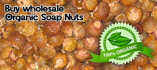 Organic wholesale Soap nuts