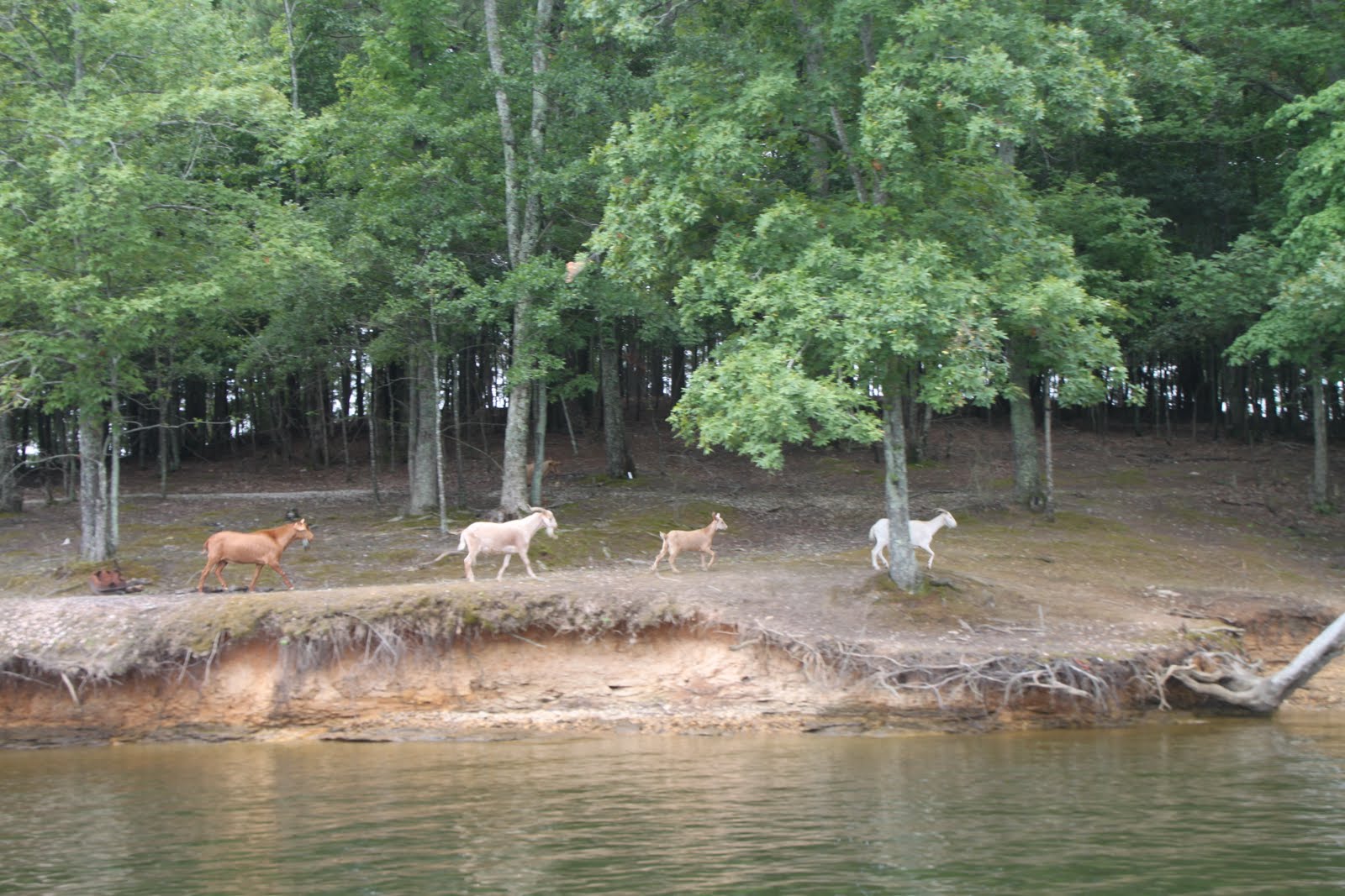 On the Go Boating to Bay Springs