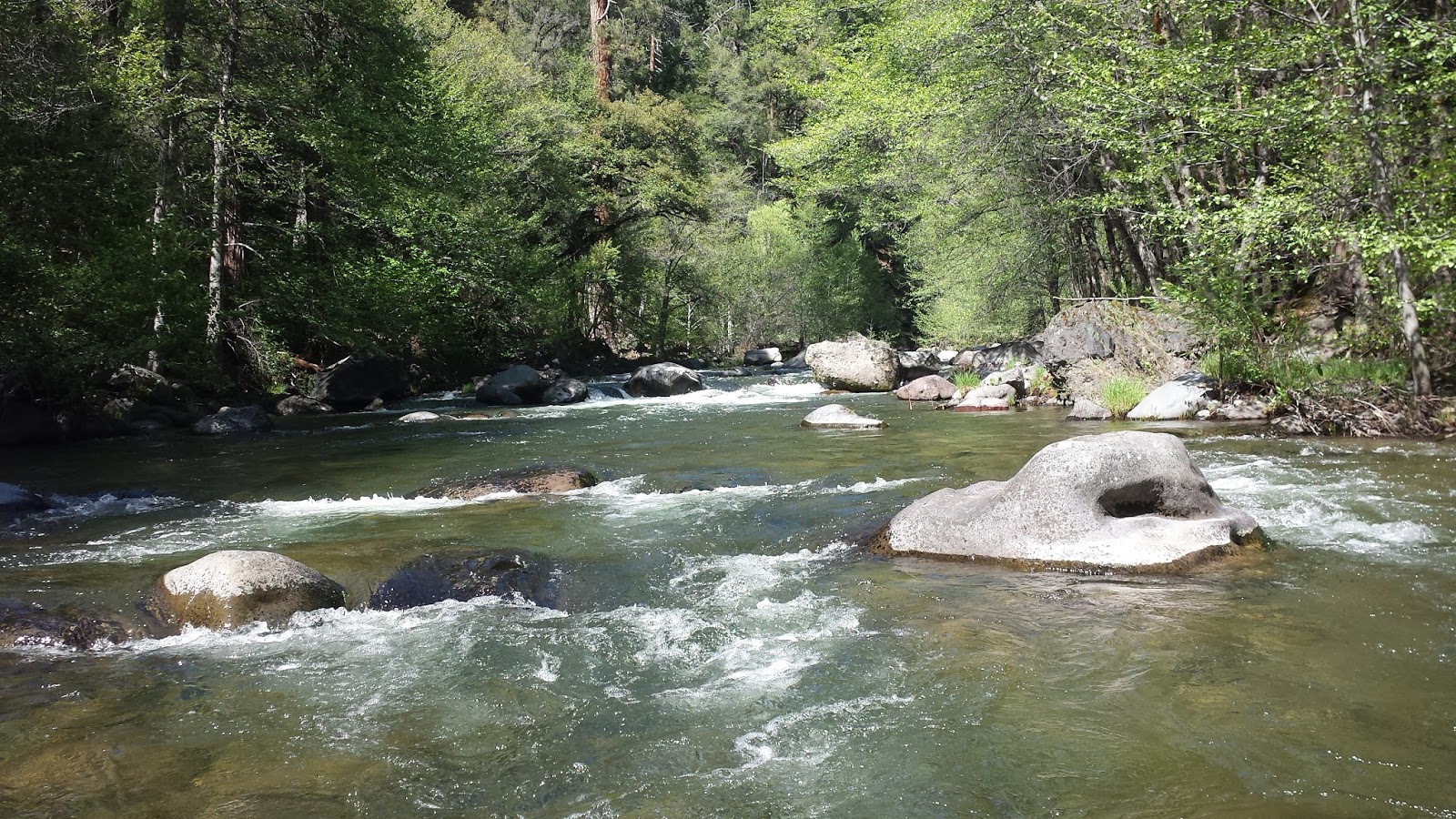 Keep Calm and Fly Fish The Deer Creek Tradition