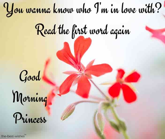 good-morning-my-princess-text good morning my princess text