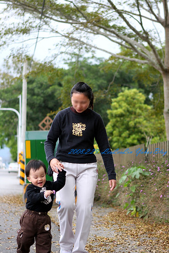 龍田國小|鹿野龍田移民村|台東鹿野景點