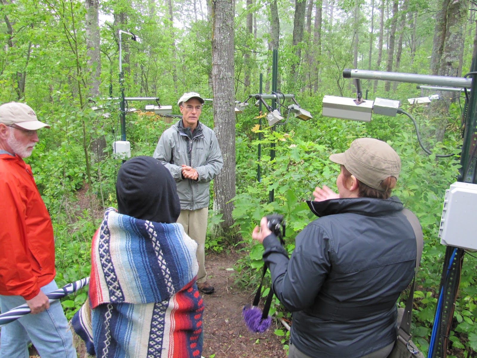 ConversationE Forest Trails & Forest Tales