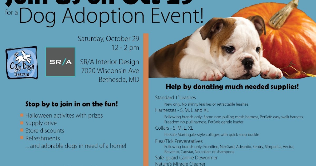 Robert Dyer Bethesda Row Dog adoption event Oct. 29 in Bethesda