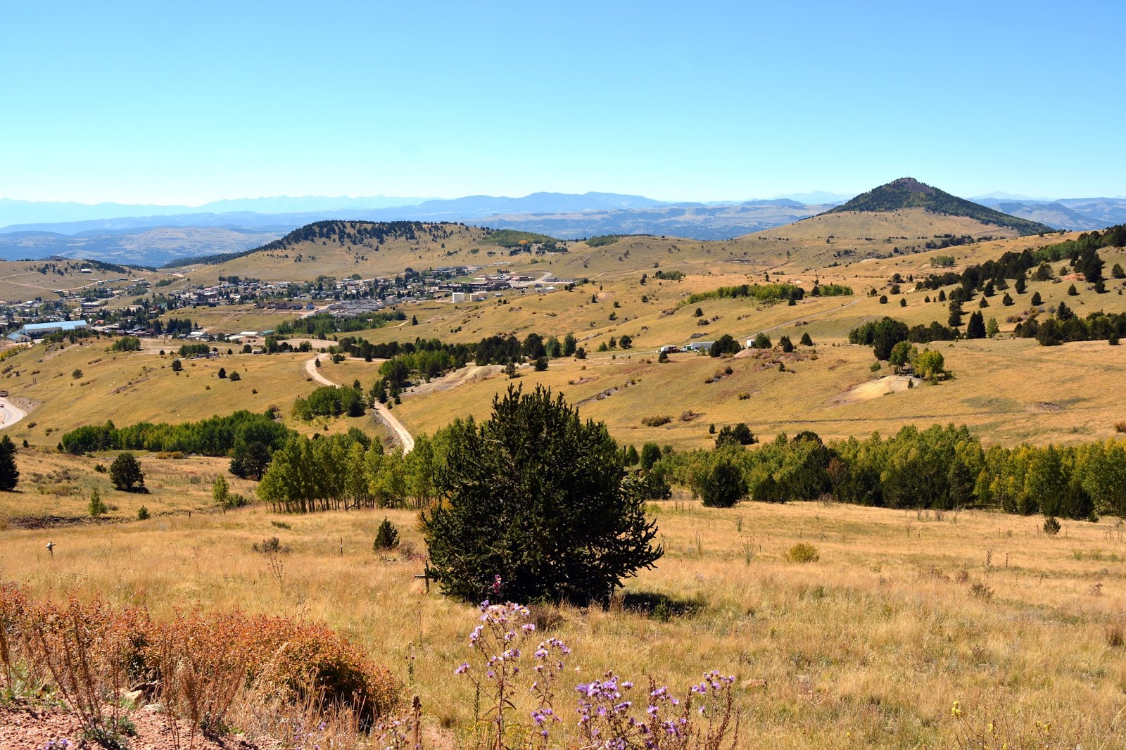 Mille Fiori Favoriti Cripple Creek Colorado, the World's Greatest Gold