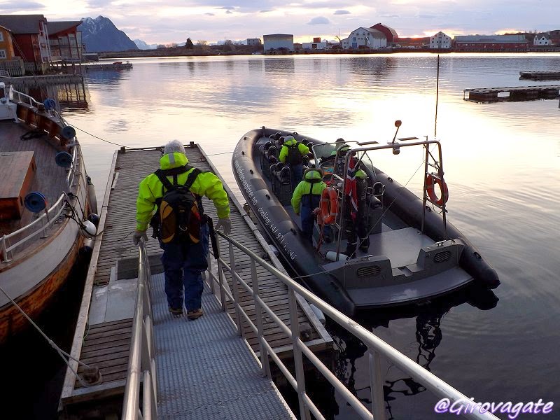 lofoten explorer safari aquila mare