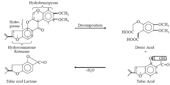  Decomposition of rotenone yields derric acid and tubic acid