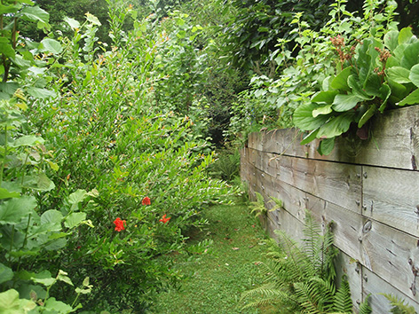 DE PASEO POR EL JARDÍN