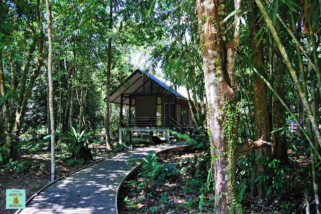 Alojamiento en Parque Nacional del Gunung Mulu (Borneo, Malaysia)