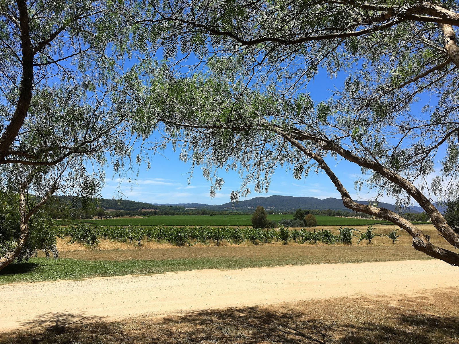 Come along with me for a day in Mudgee wine region in the Australian state of NSW where I discover the hidden gems of Mudgee Cellar Doors and Wineries.