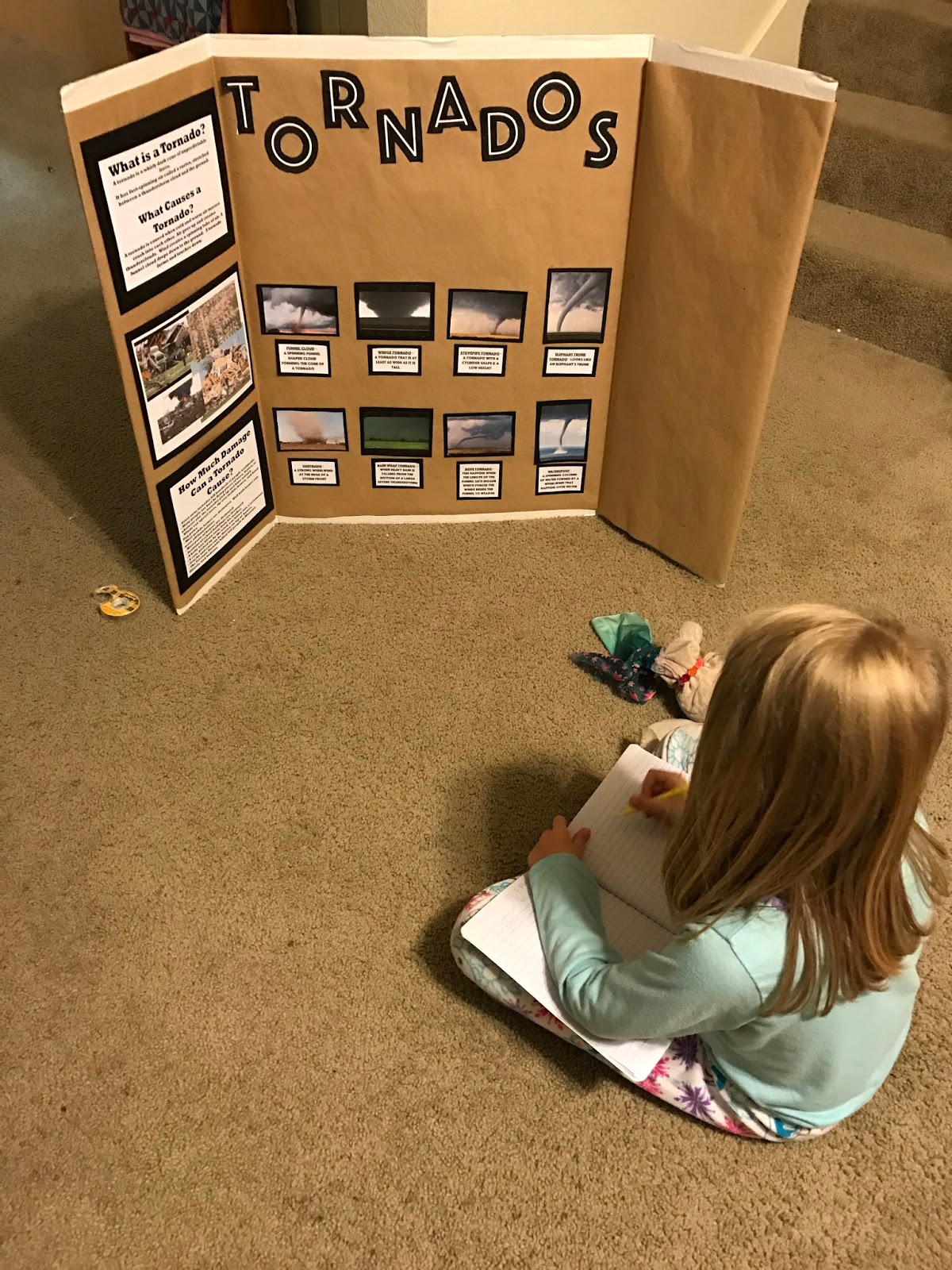 to the Krazy Kingdom Taya's Science Project Tornadoes