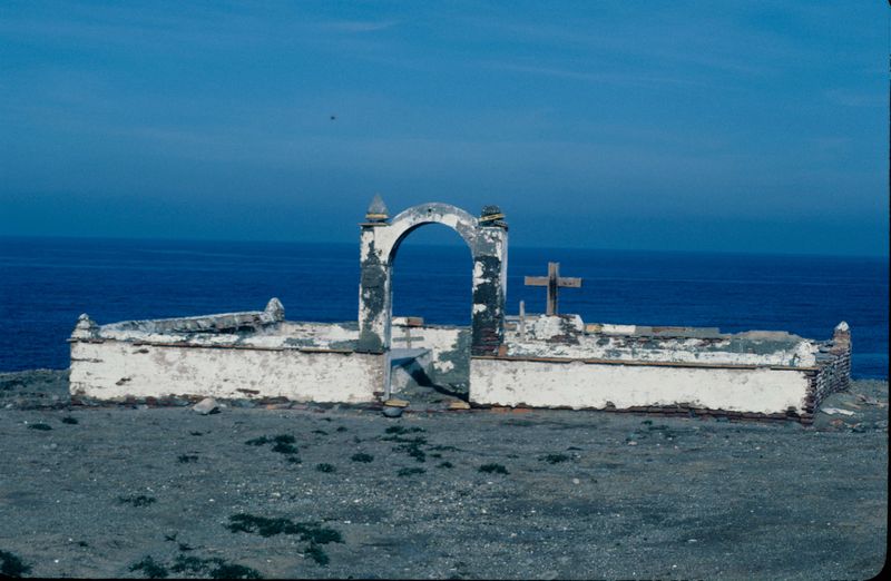 El Nieto Del Espartero Isla De Alboran Patrimonio Natural el-nieto-del-espartero-isla-de-alboran-patrimonio-natural