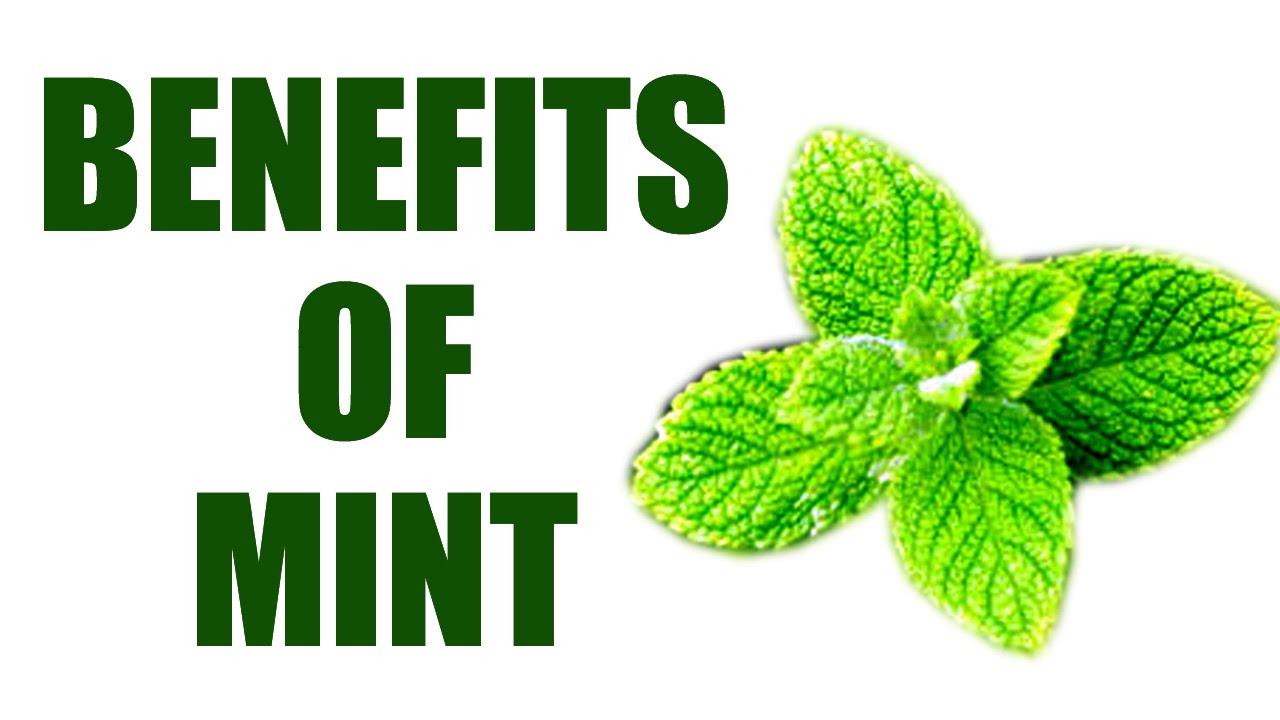 Health Benefits of Mint Health is Wealth