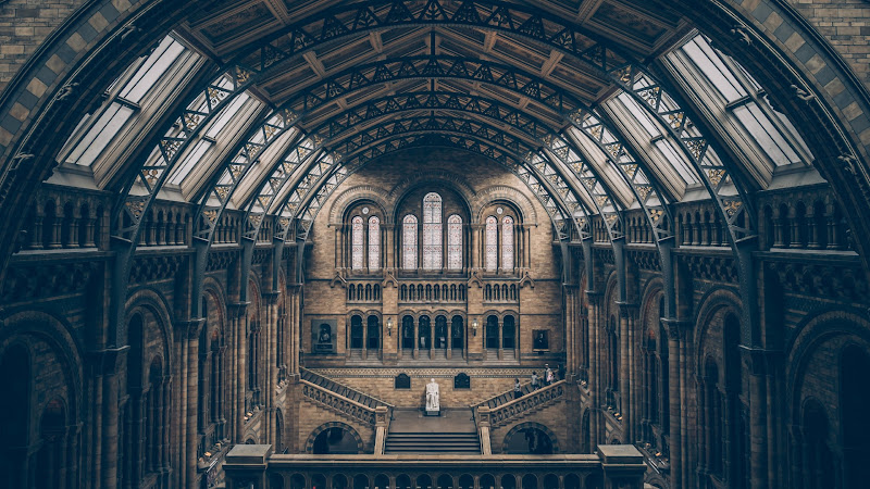 Inside Natural History Museum in London