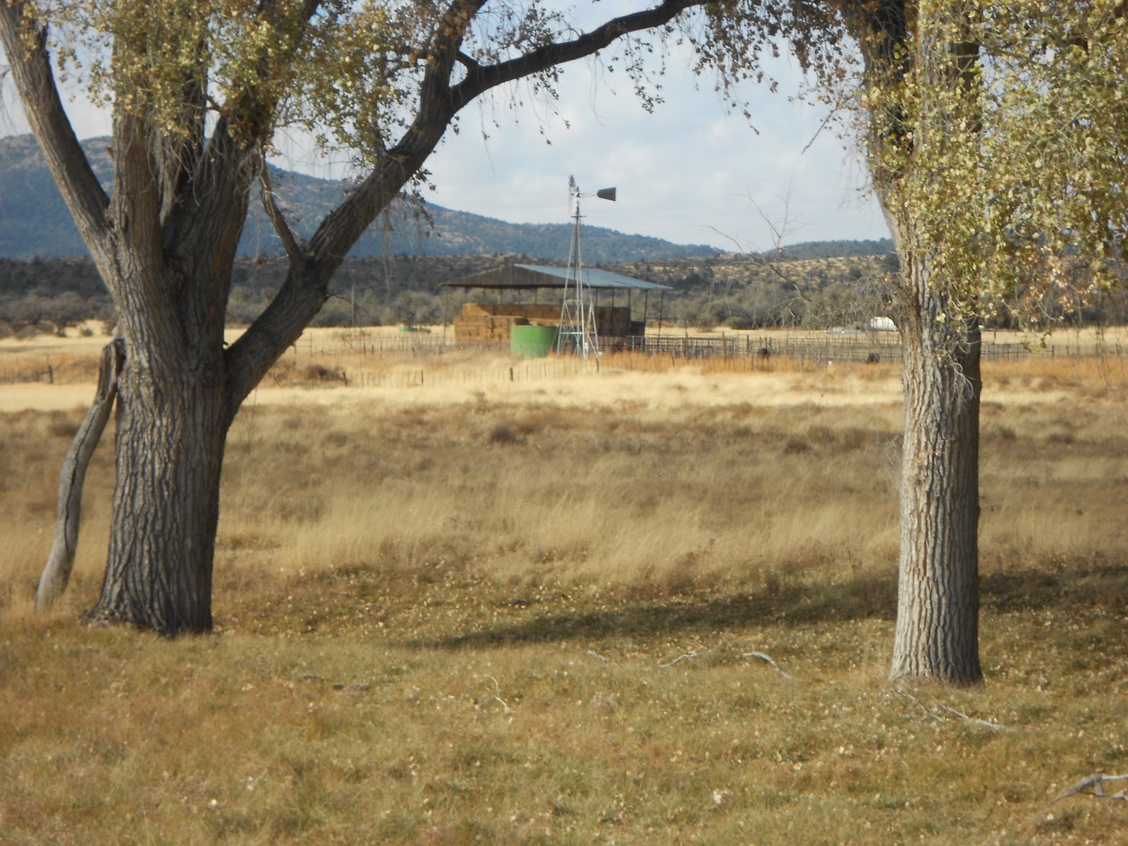 The Longest DayPrescott to Phoenix